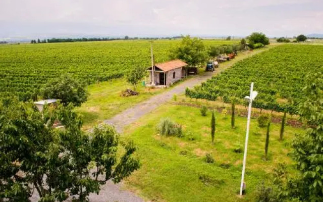 Shaloshvili's Cellar Hotel