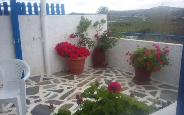 Studios Prevena
