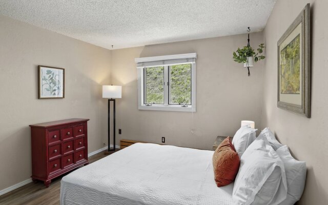 Snowmass Mountain D1