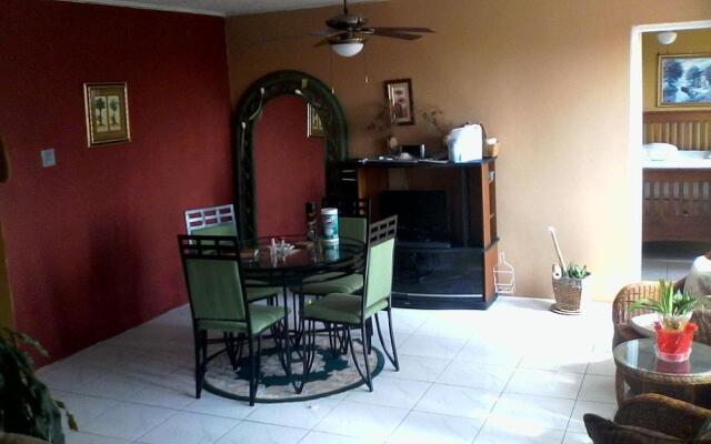 New Kingston Guest Apartment III