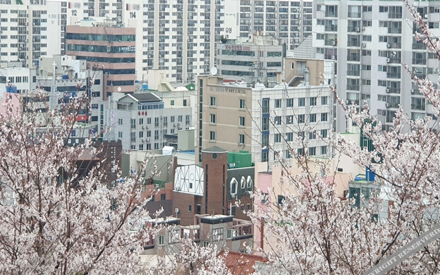 Mokpo Luman Stay