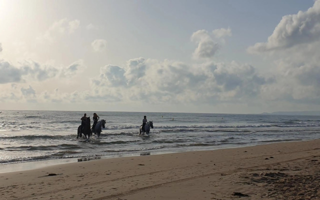 Casa on large property with private Pool