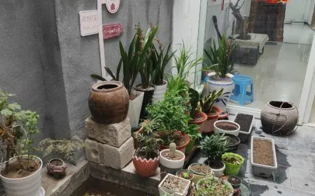 Luoyang Qingqing Yuanshe Homestay (Lijingmen Cross Street Store)