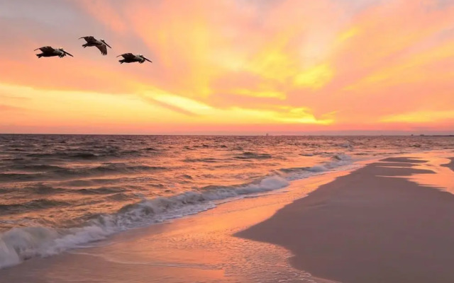 The Intercoastal #205 - Beachy Chic