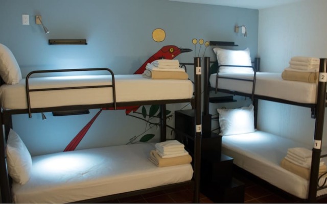 Fénix Beds Hostel