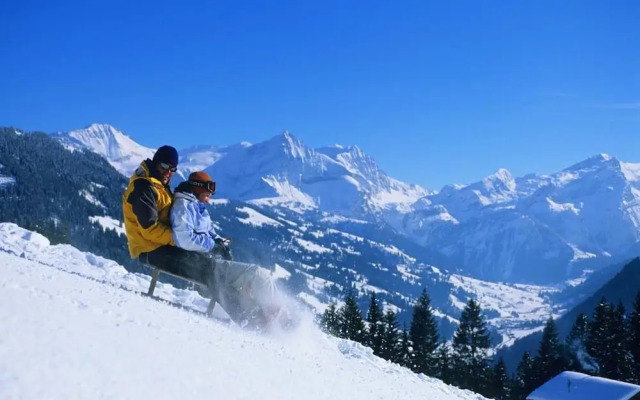 Contemporary Swiss Escape