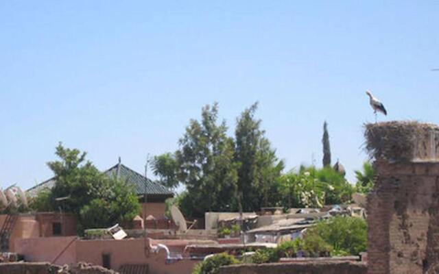 Riad Amin