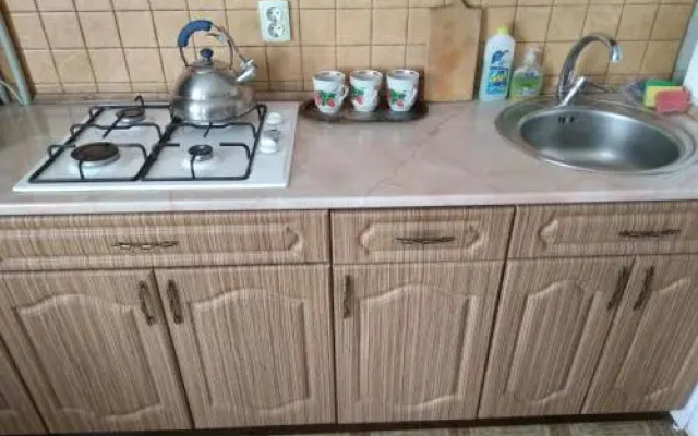 Apartment on Peremohy Street 8