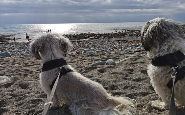 Sea and Mountain View Sunbeach Holiday Snowdonia