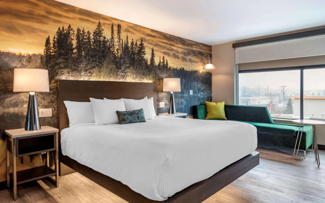 Отель Cambria Hotel Shelby Township - Detroit Utica
