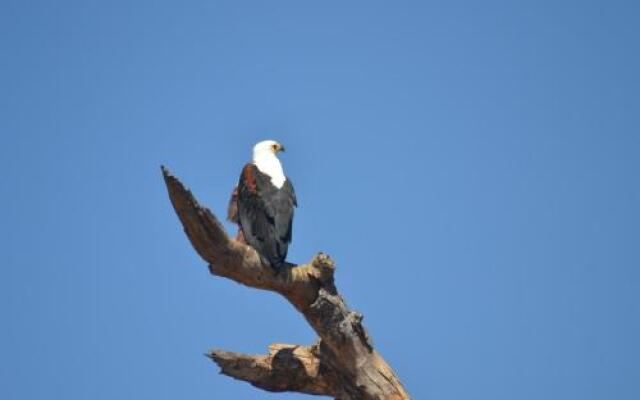 Thuhlo Lodge