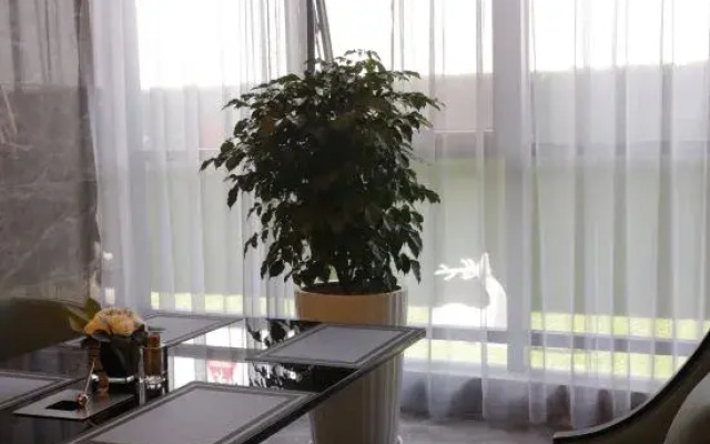 Stay International Hotel