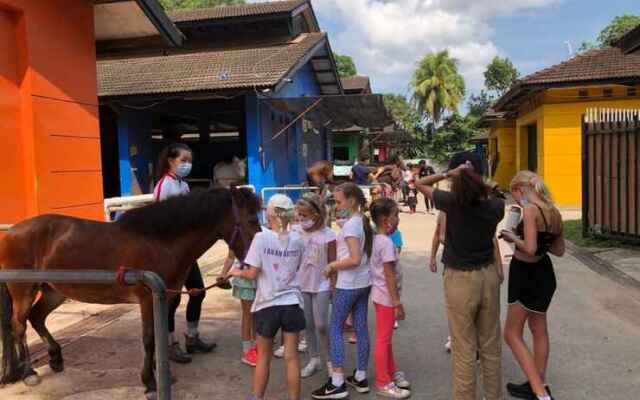 Glamping @ Bukit Timah HorseCity