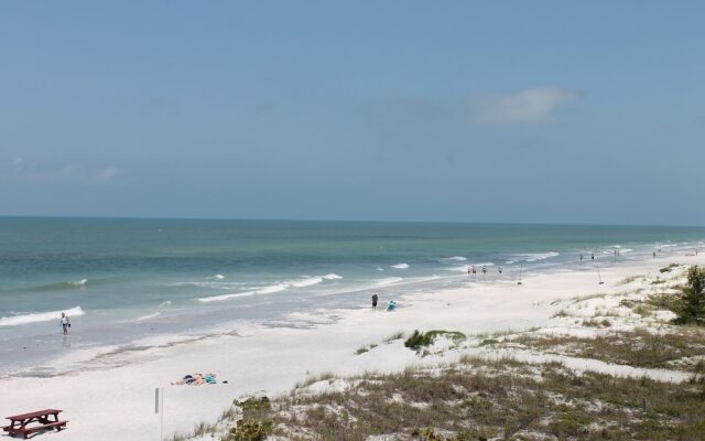 Pointe 202