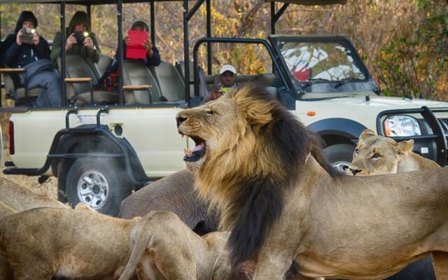 Tlouwana Camp