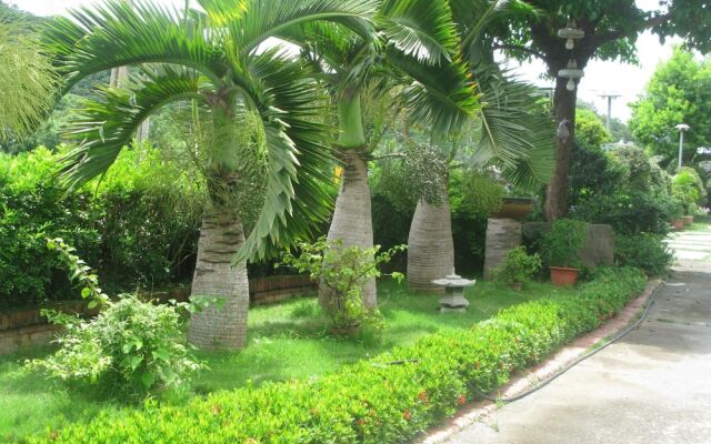 Green 58 B&B