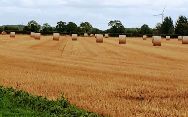 Field View B&B