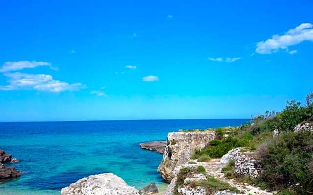 Cinque Stalle Bed  Breakfast
