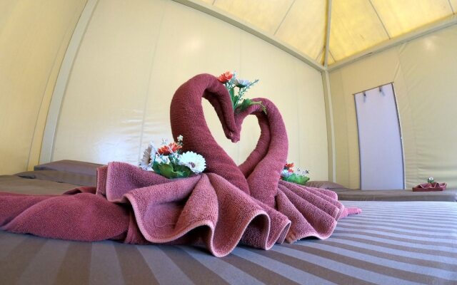 Pongyang Jungle Coaster Zipline Camp&Resort