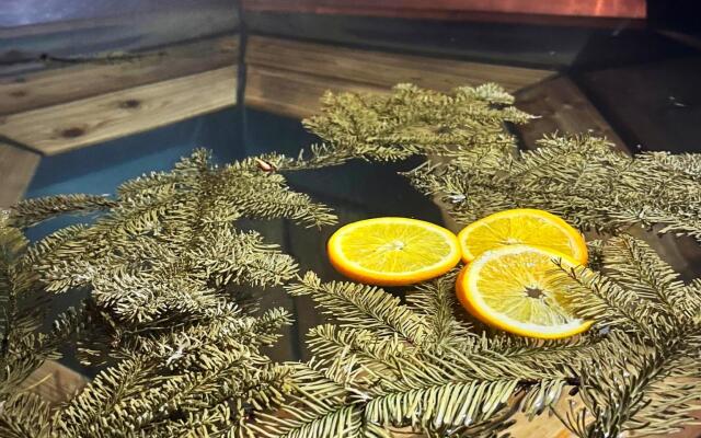 Шишкин Афрейм