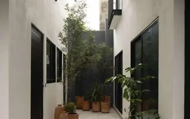 Lofts La Paz