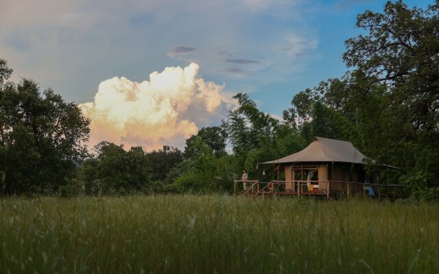 The Untamed Bandhavgarh by TUTC