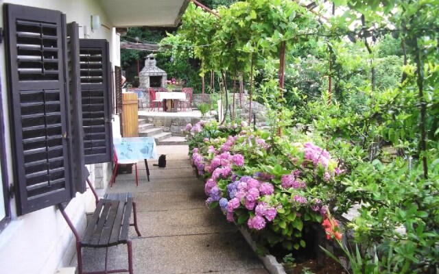 Apartments Zlatko