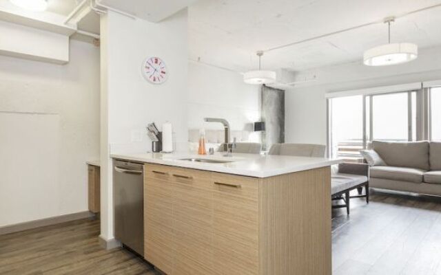 Soma Lofts Apartment