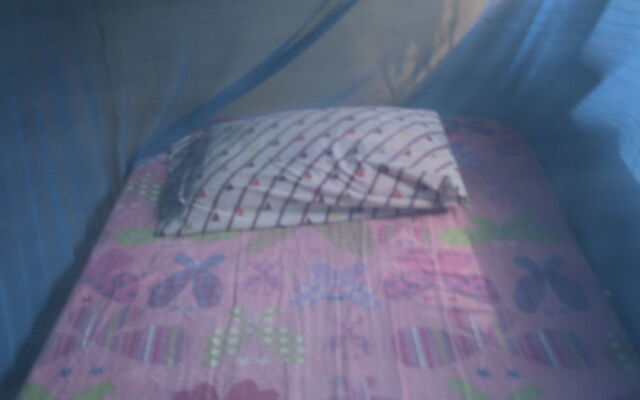 Ecological Jungle Trips & Amazon Lodge