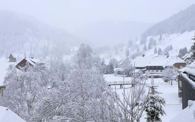 Ferienhaus Albmatte