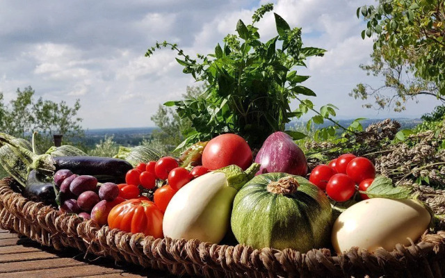 Margherita Holiday Home