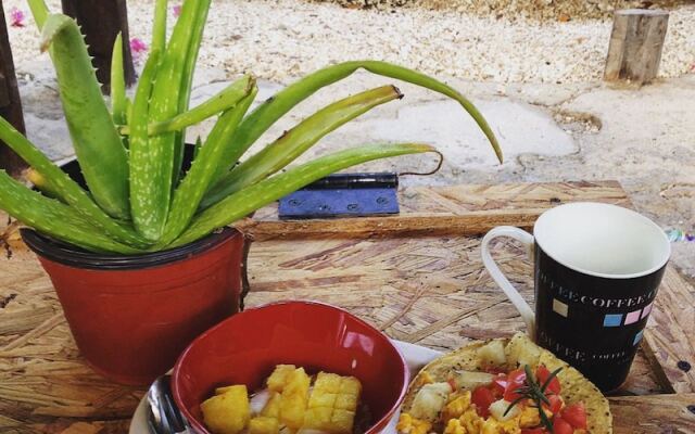 Lobo Inn - Hostel