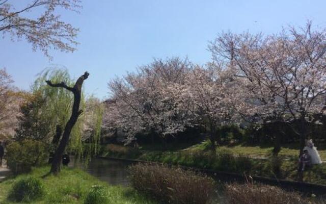 Suzume-An