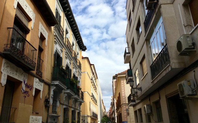 Palma 61