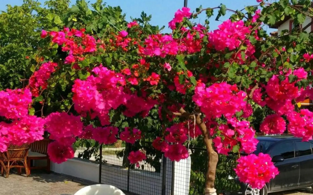 Tavilogullari Villa Apart