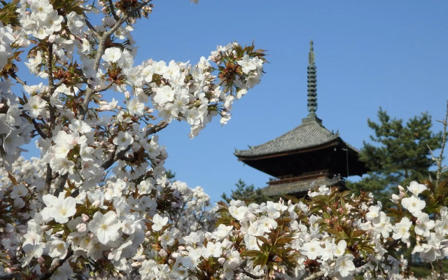 Stay SAKURA Kyoto TSUBAKI