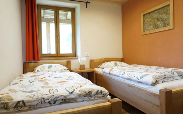 ecoHouse FURLAN - Apartment PINJA