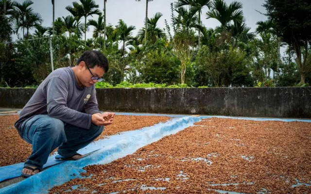 Hongpeng Coffee Station Homestay