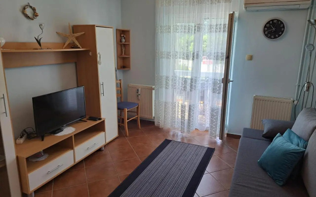 Apartment Leo