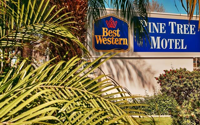 Best Western Pine Tree Motel