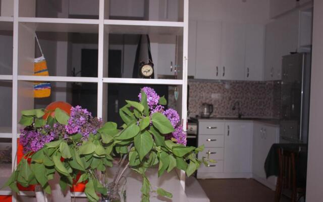 cosy studio appartment