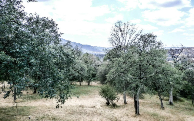 Westview Majestic View Home