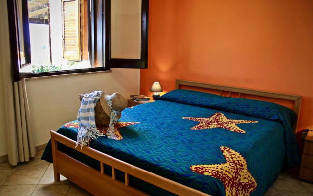 Il Giardino delle Aloe