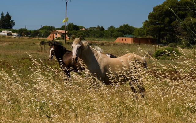 Semi Detached Home In Mediterranean Style In Languedoc