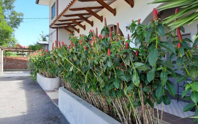 Villa 223