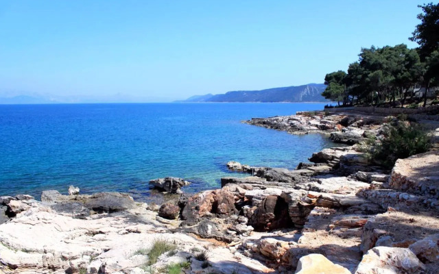 Apartments by the sea Jelsa, Hvar - 8729