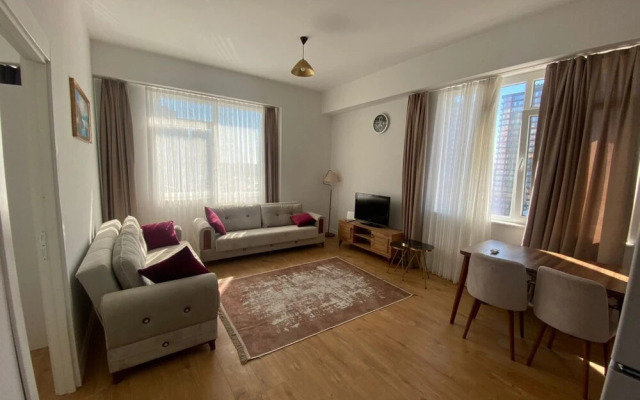 Business-friendly Flat With Central Location in Fikirtepe