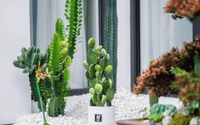 Yandang mountain Yunshu small building B&B