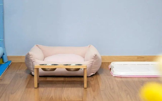 Gapyeong Highmong Pet-friendly Kids Pool