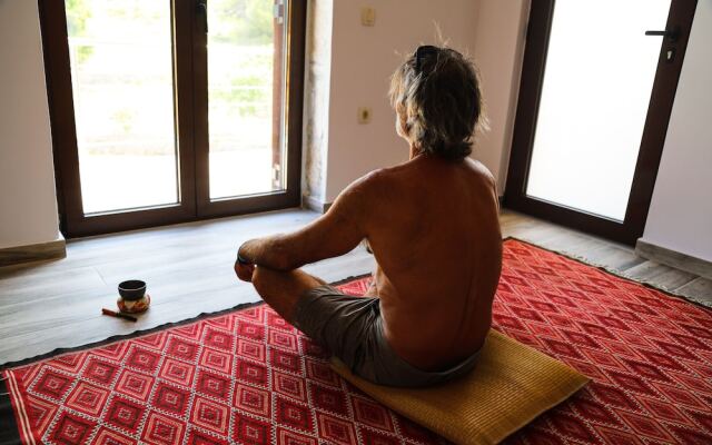 Wild Fig Retreat